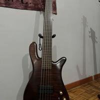 Warwick Pro M streamer