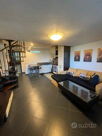 STUPENDA STANZA IN LOFT ,600 euro tutto compreso