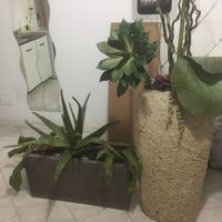 Composizioni per casa