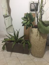 Composizioni per casa