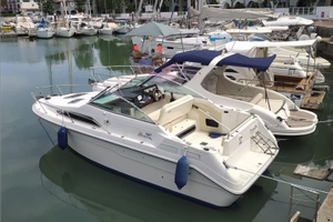 Barca Sea Ray Sundancer 240 DA