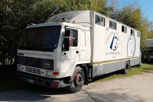 Van trasporto 8 cavalli con piccolo living