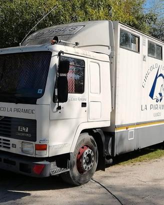 Van trasporto 8 cavalli con piccolo living