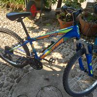 bicicletta bambino ragazzo 24"