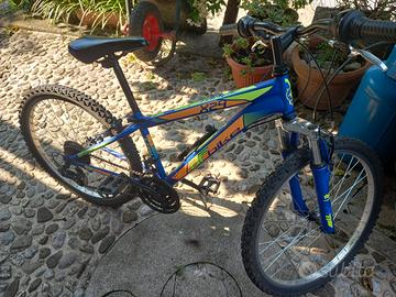 bicicletta bambino ragazzo 24"