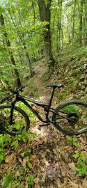 cannondale scalpel 2025 M