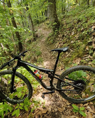 cannondale scalpel 2025 M