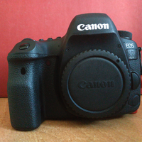 Canon EOS 6D mk II