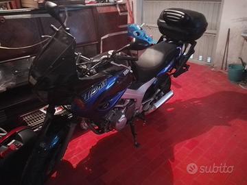 Yamaha TDM 850 - 1999