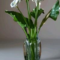 Vaso cristallo Val Saint Lambert  cm. 25