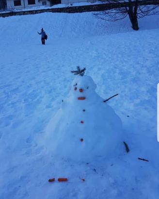 Vacanze Natalizie in montagna indipendente
