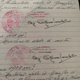 Diario storico 11 gruppo cannoni da 75/27 mod 906