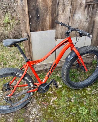 Bicicletta mountain bike rossa ruote larfge