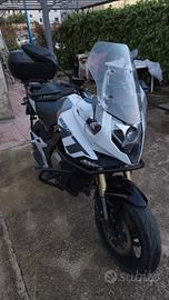 Cf MOTO 650 MT 2023 