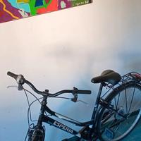bici da donna