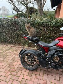 Mv Agusta Turismo Veloce Lusso SCS