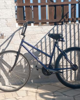 Bici Chopper artigianale