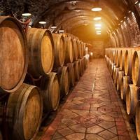 Azienda vinicola con ristorante-terreni-mura