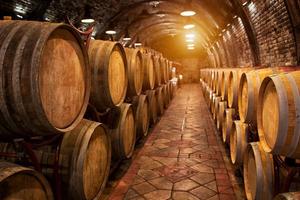 Azienda vinicola con ristorante-terreni-mura