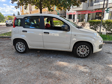 Fiat Panda 1.2 benzina color beige cappuccino