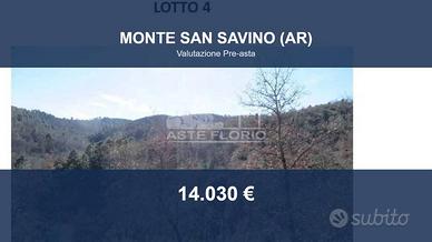 Immobile in asta di 69510 m² a Monte San Savino