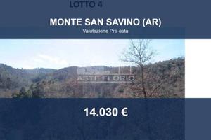 Immobile in asta di 69510 m² a Monte San Savino