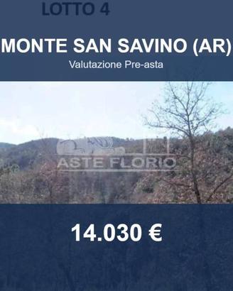 Immobile in asta di 69510 m² a Monte San Savino