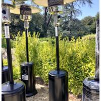 fungo per giardino esterno