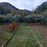 Terreno di 2600mq con casetta di legno di 32mq