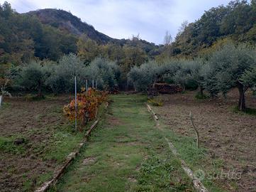 Terreno di 2600mq con casetta di legno di 32mq