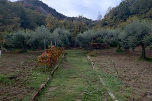 Terreno di 2600mq con casetta di legno di 32mq