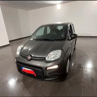 panda firefly hybrid