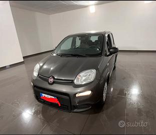 panda firefly hybrid