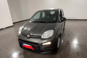 panda firefly hybrid