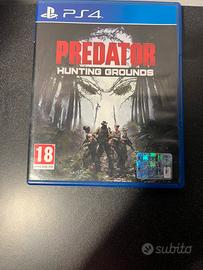Predator