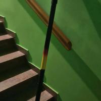 canna trota torrente