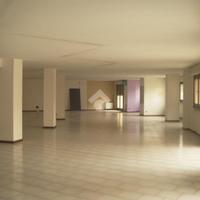 NEGOZIO A BUSTO GAROLFO