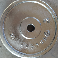 Pesi ghisa ,asta,manubri, mollette, cintura