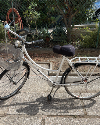 Bicicletta Alpina donna