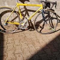 BOTTECCHIA  52X54