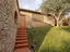 Immagine 10