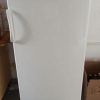 Freezer verticale 205lt.