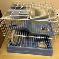 Gabbia per criceti