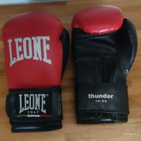 Parastinchi e guantoni Leone