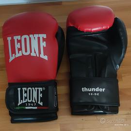 Parastinchi e guantoni Leone