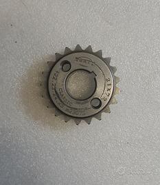 pignone drt 21 denti