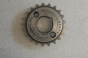 pignone drt 21 denti