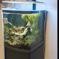 acquario