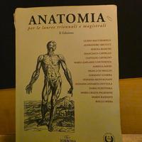 Libro anatomia