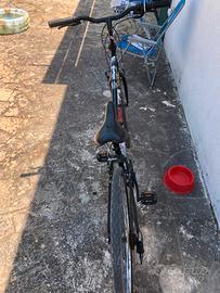 Bicicletta Ricerside 100